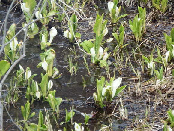 f0118332_236508.jpg