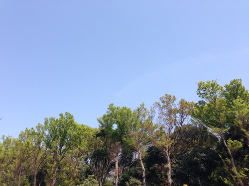 e0081334_16563689.jpg
