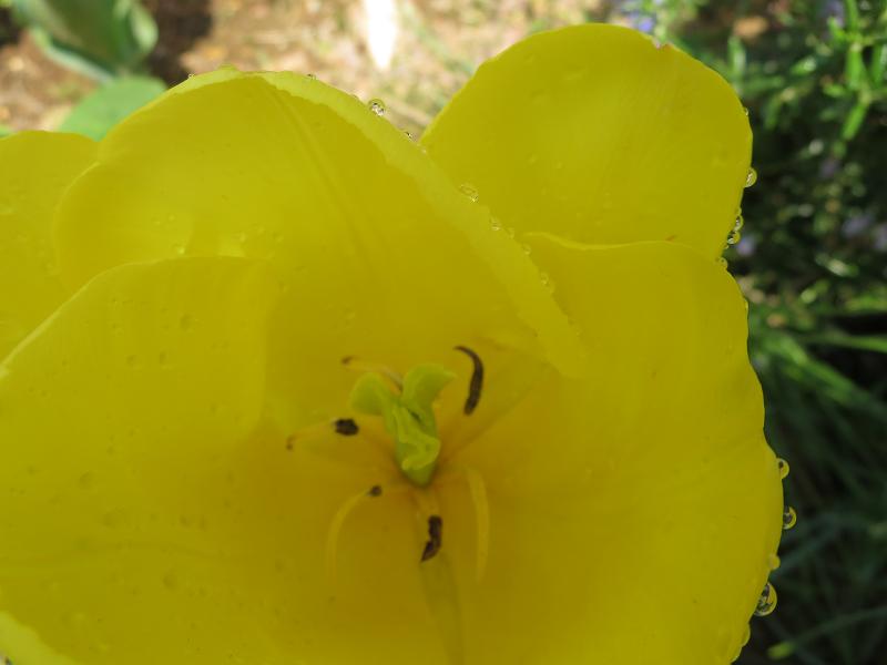 b0301236_823754.jpg