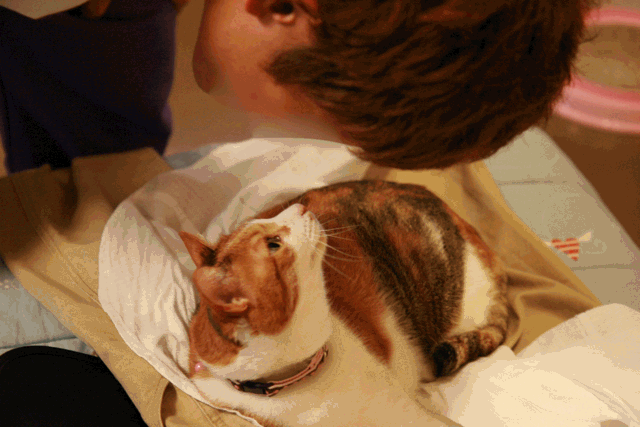 c0136736_9284128.gif