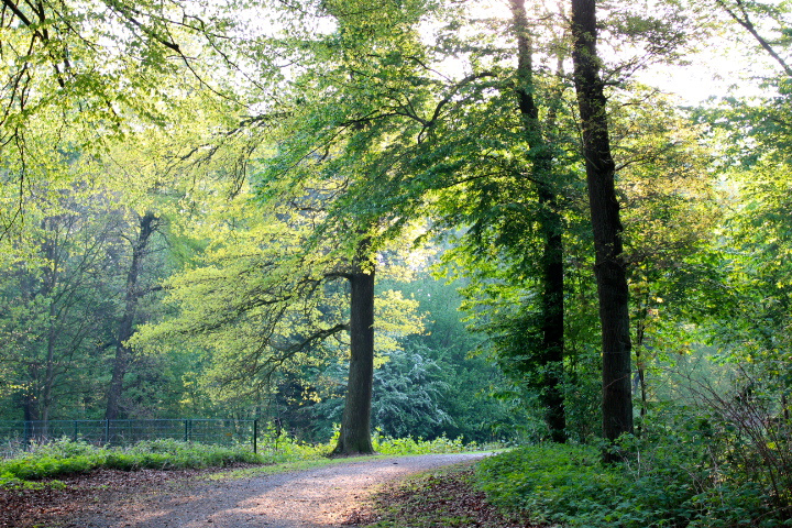 c0153740_17301444.jpg