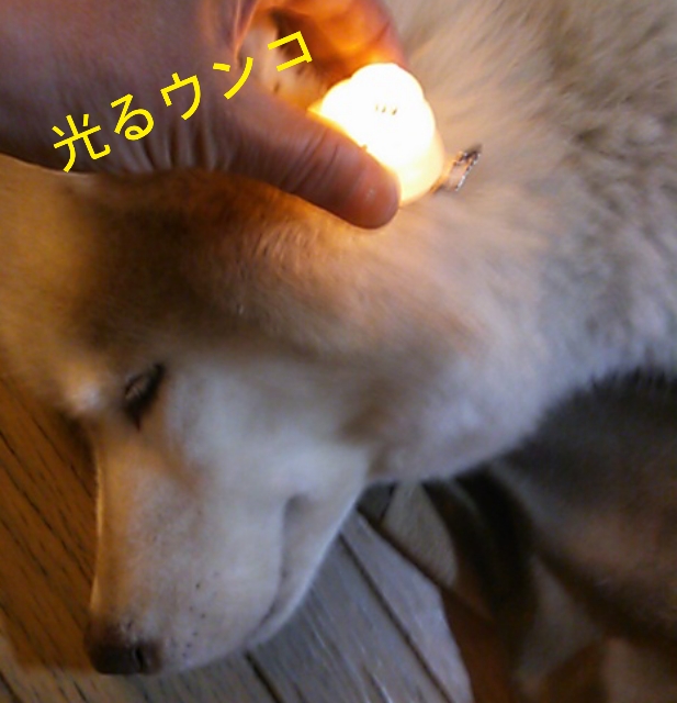 e0121548_22325762.jpg