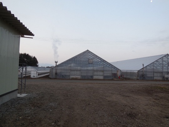 c0037553_5485130.jpg
