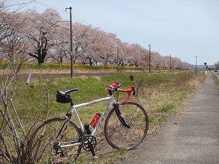 a0096557_13725.jpg