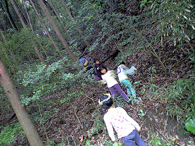 f0201557_911223.jpg