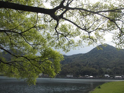 f0113862_18135062.jpg