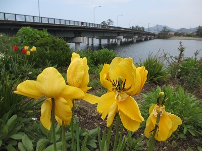 f0113862_18261618.jpg