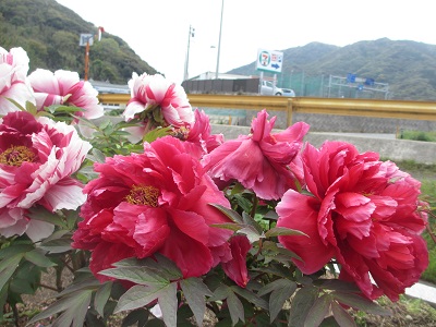 f0113862_18324894.jpg