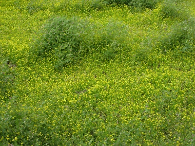 f0113862_18374559.jpg