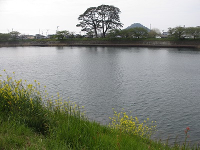 f0113862_18413196.jpg