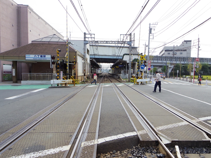 d0031171_822610.jpg