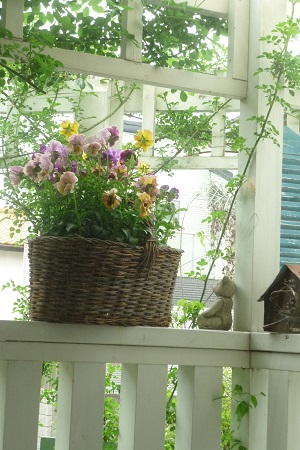 f0166982_17201235.jpg