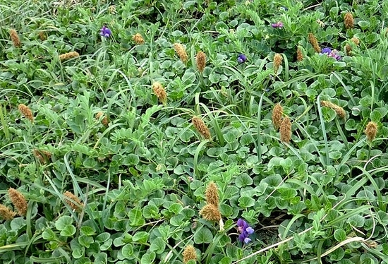 e0143690_14511728.jpg