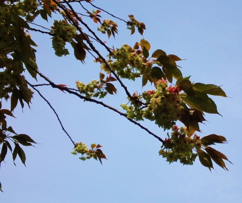 b0307692_14044110.jpg
