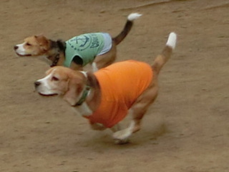 a0319693_9541069.jpg
