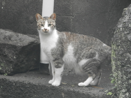 f0181793_14311336.jpg