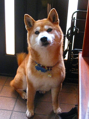 f0181394_1351187.jpg