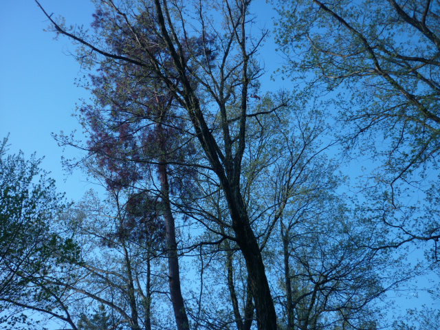 e0326699_7232364.jpg
