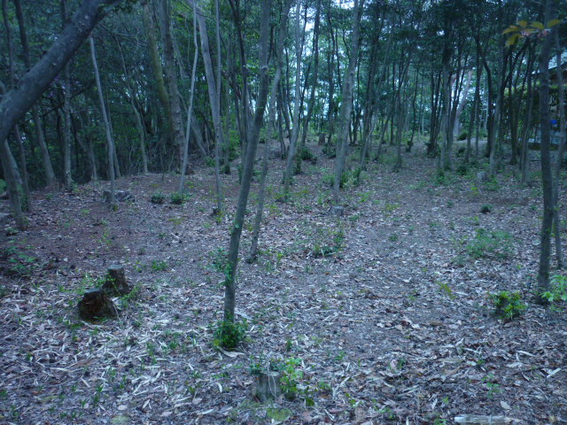e0326699_7434783.jpg