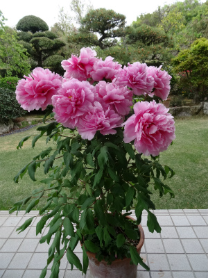 c0125501_23531650.jpg
