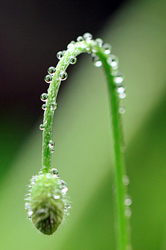 b0014607_17241031.jpg