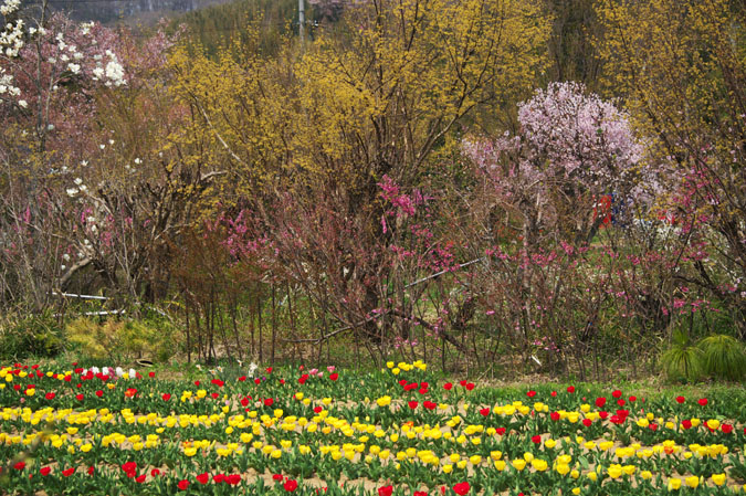 a0263109_1245239.jpg