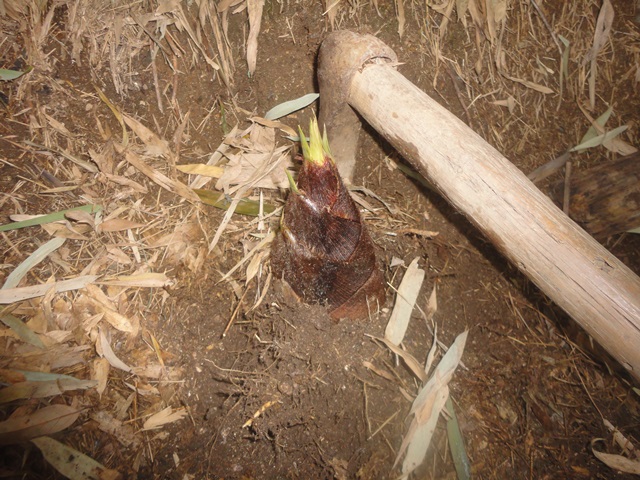 f0231709_241841.jpg