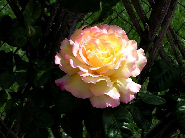 b0064411_06124342.jpg