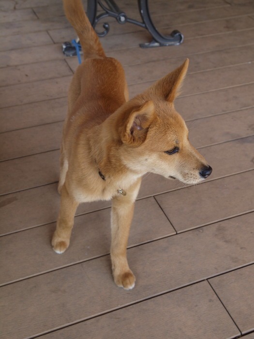 c0116915_035375.jpg