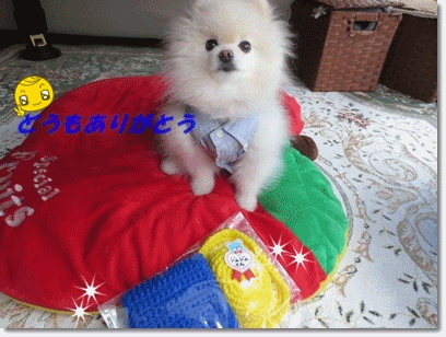 b0167519_1510253.gif