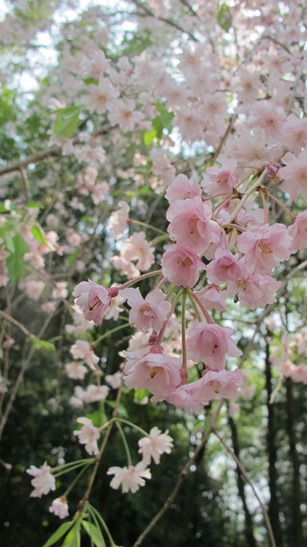 f0231422_00512694.jpg