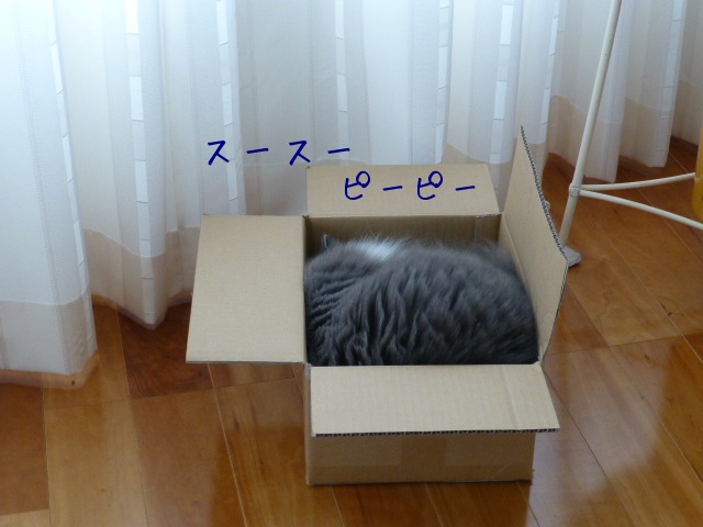 e0237625_23531842.jpg
