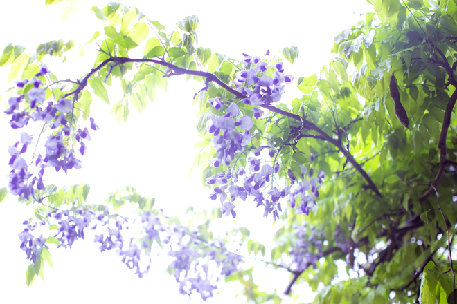 e0200926_23492114.jpg
