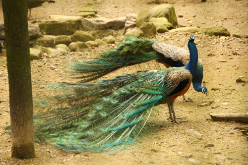 d0158028_17504487.jpg