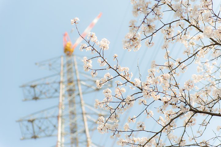 b0134829_21273137.jpg