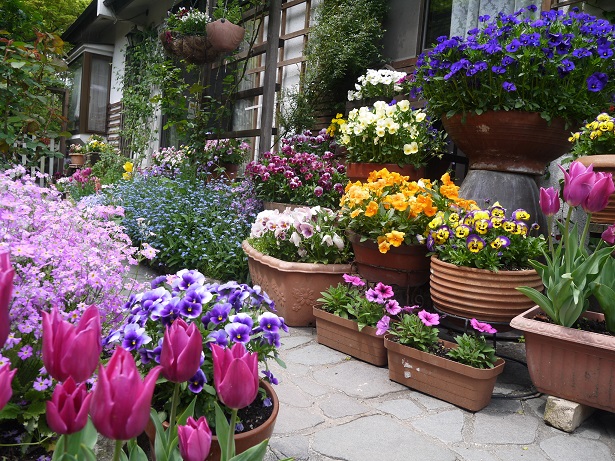 f0231829_229339.jpg