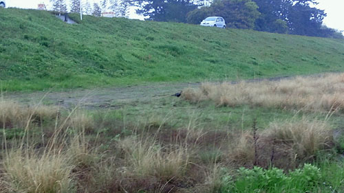 c0120834_09354029.jpg
