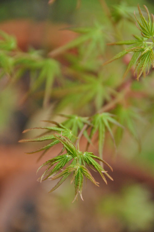 f0302638_1653451.jpg