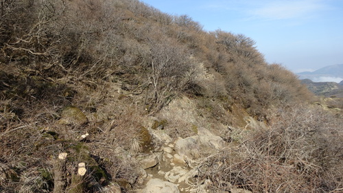 a0289641_12312551.jpg