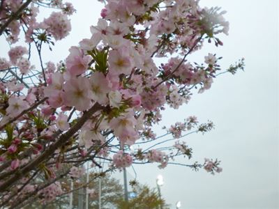 b0220251_91824100.jpg