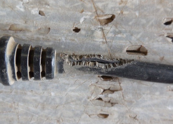c0037553_643894.jpg