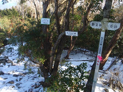 c0097754_12165049.jpg