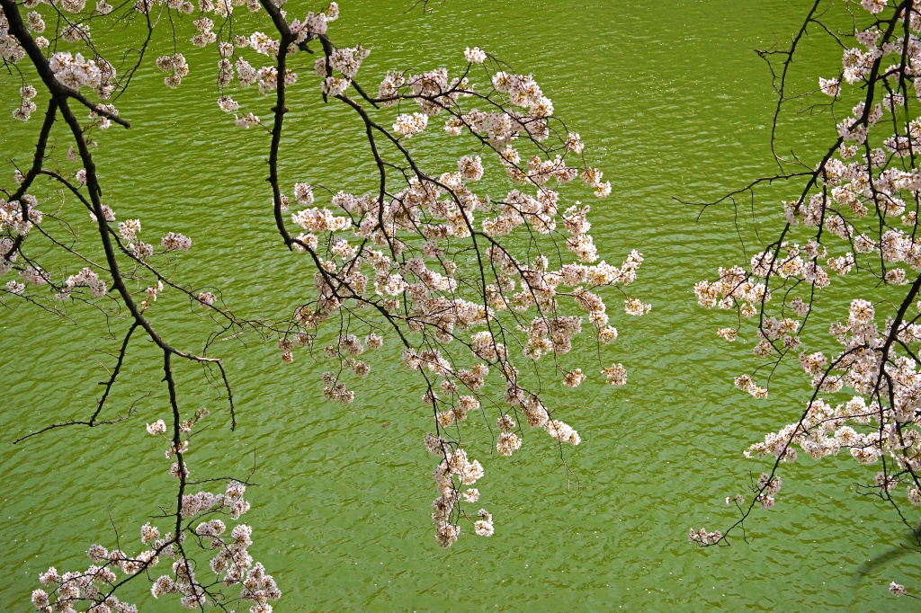 e0229455_17122128.jpg