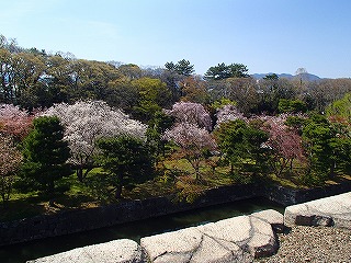 a0104162_2125723.jpg