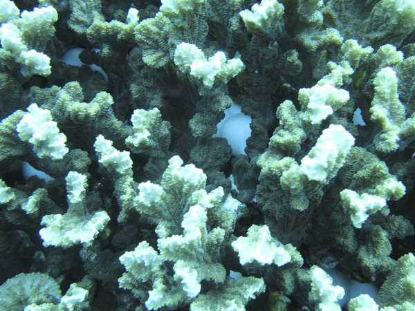 b0062363_22331317.jpg
