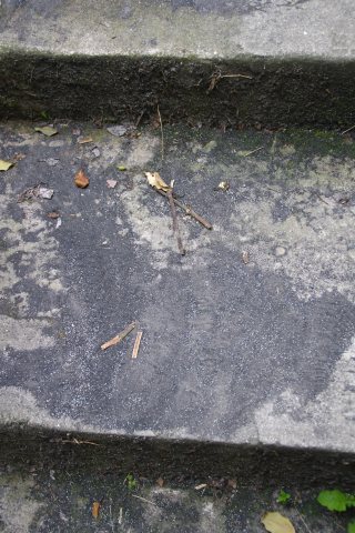 e0045768_22483931.jpg
