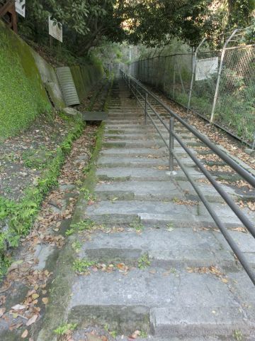 e0045768_2248998.jpg