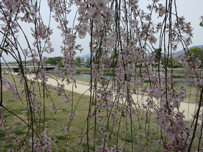 c0117570_15142040.jpg