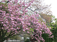 c0117570_15254652.jpg