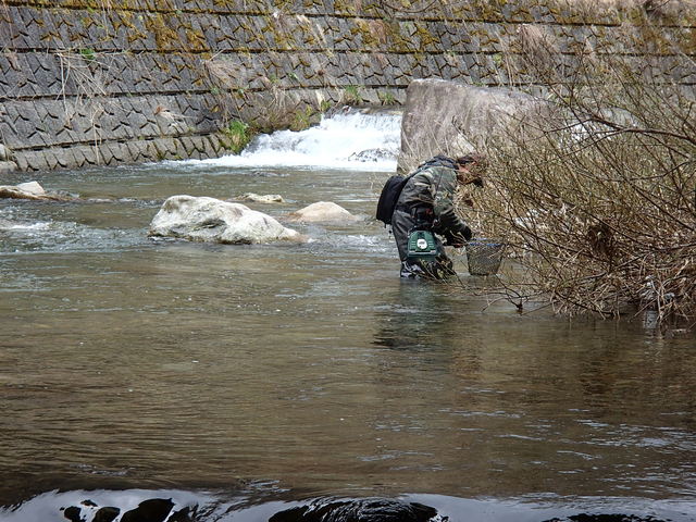 a0093677_22162291.jpg